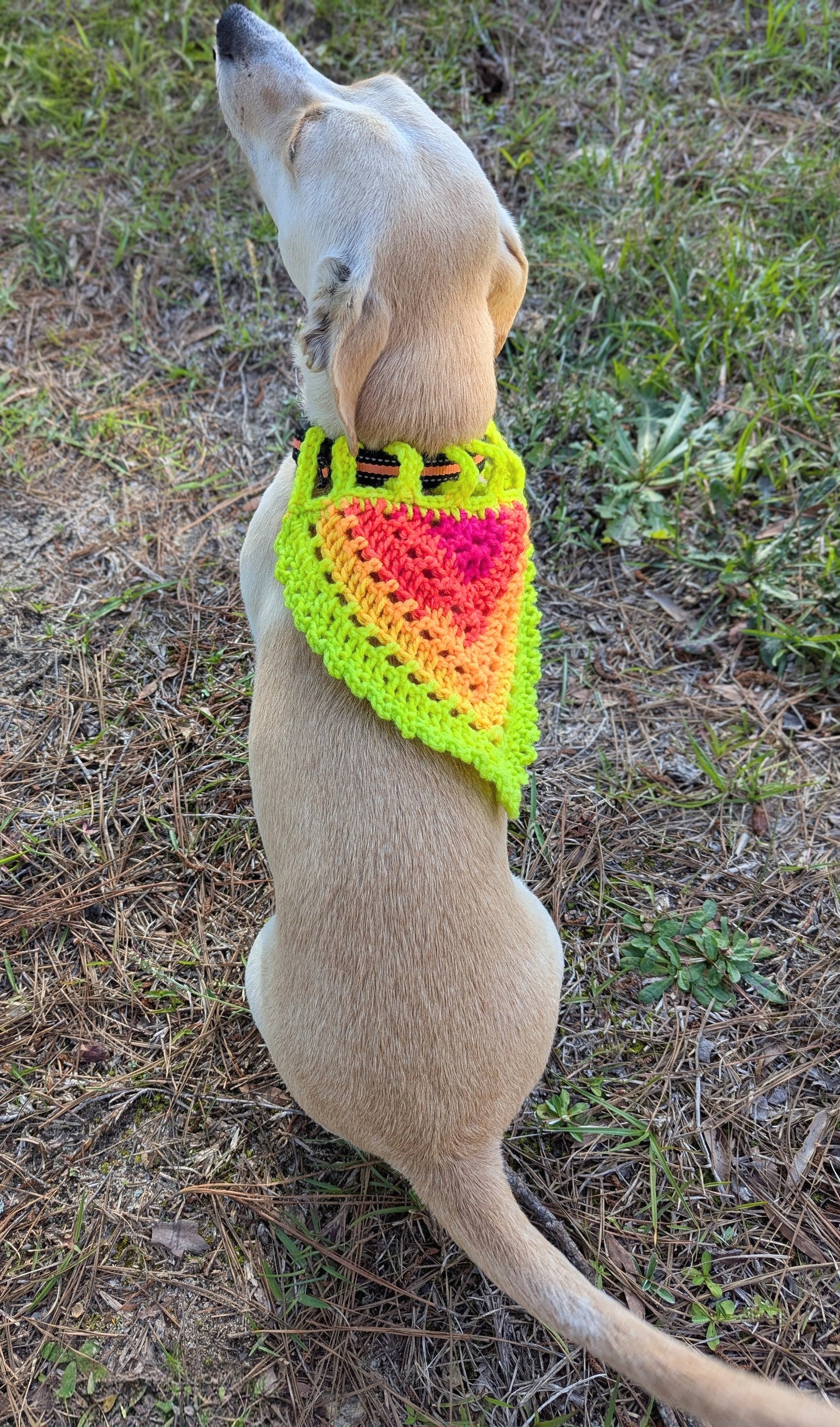 Neon Lights Dog Bandana (Medium)