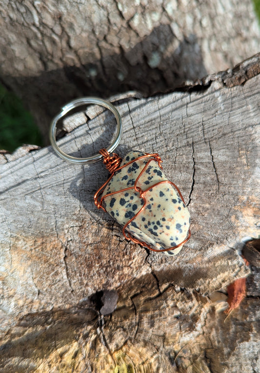 Dalmatian Jasper