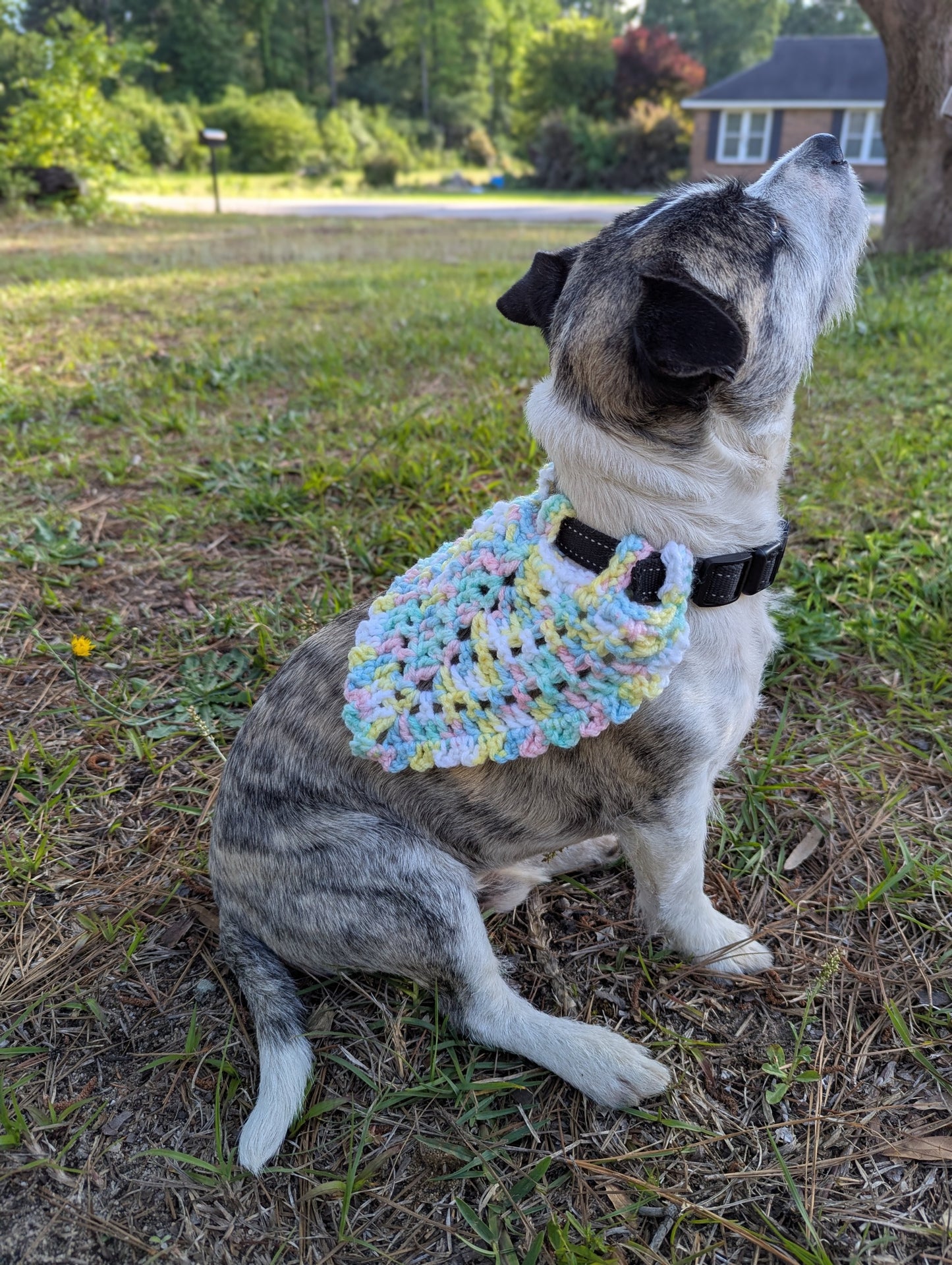 Ice Cream Dog Bandana (Small)