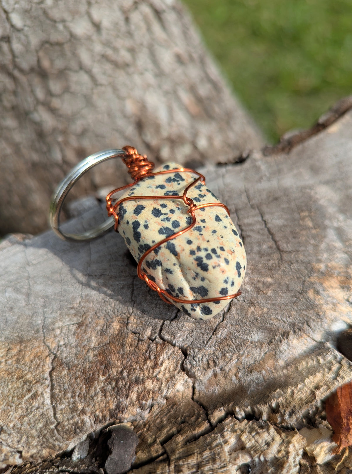 Dalmatian Jasper