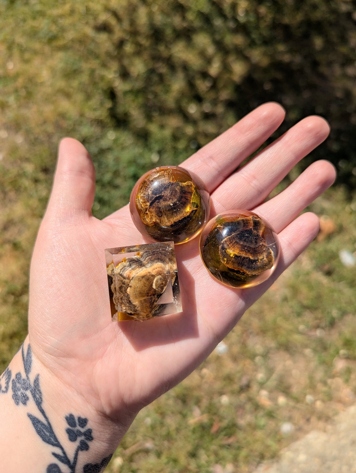 Resin Mushroom Magnets 3pk