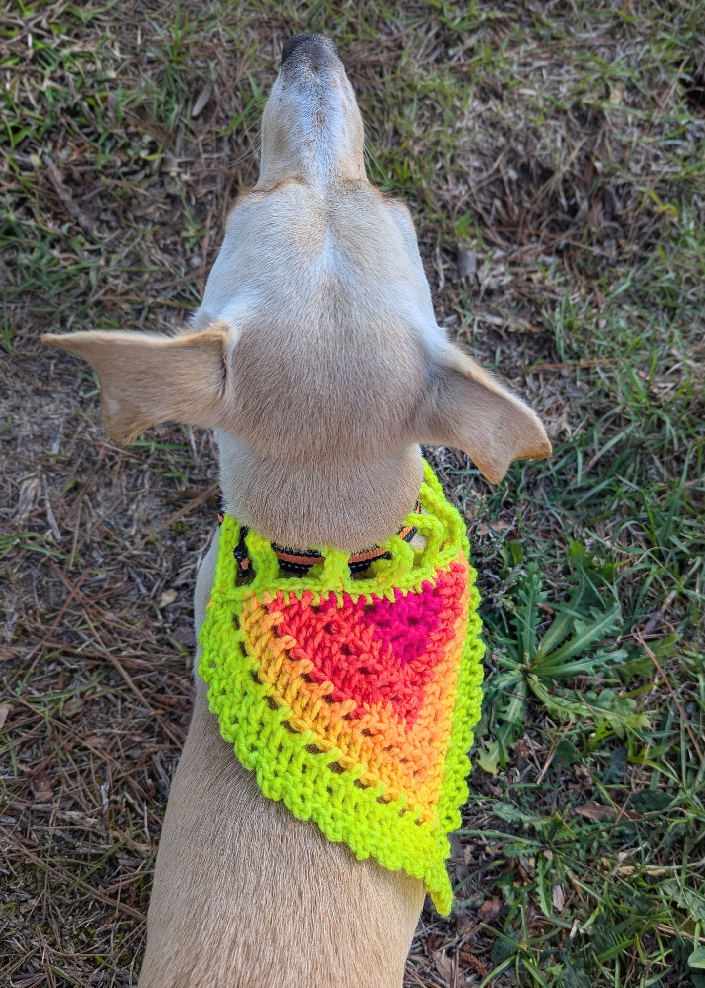 Neon Lights Dog Bandana (Medium)