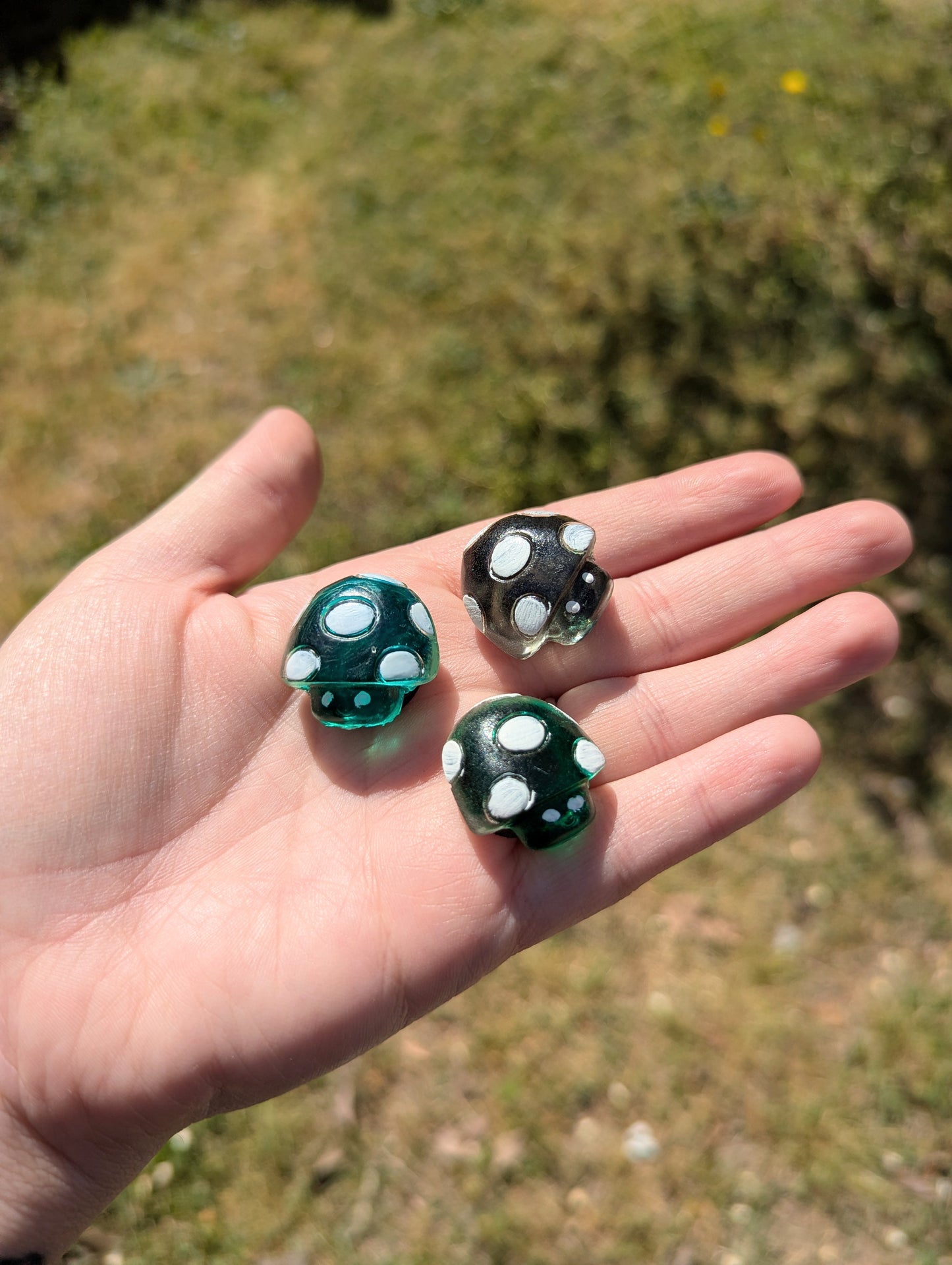 Resin Mushies Magnet 3pk